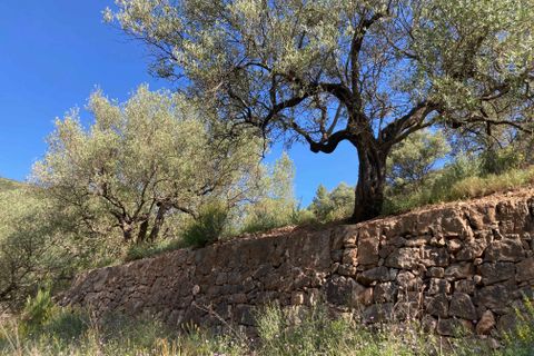 Landejendom i El Perello, Tarragona, El Perello - € 36.000 | Ref: Finca Montanas - foto 40